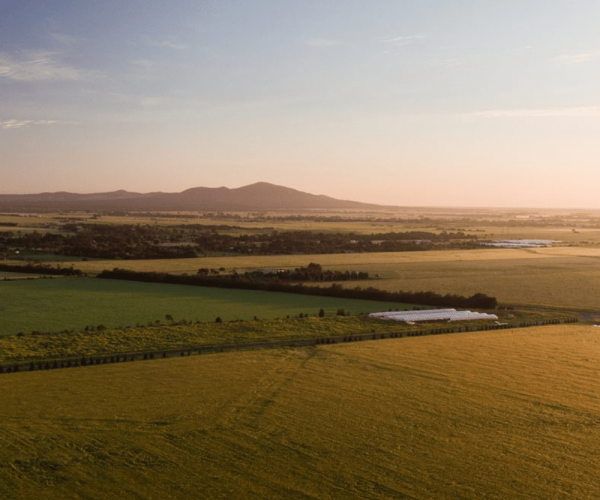 Regional Visitor Economy